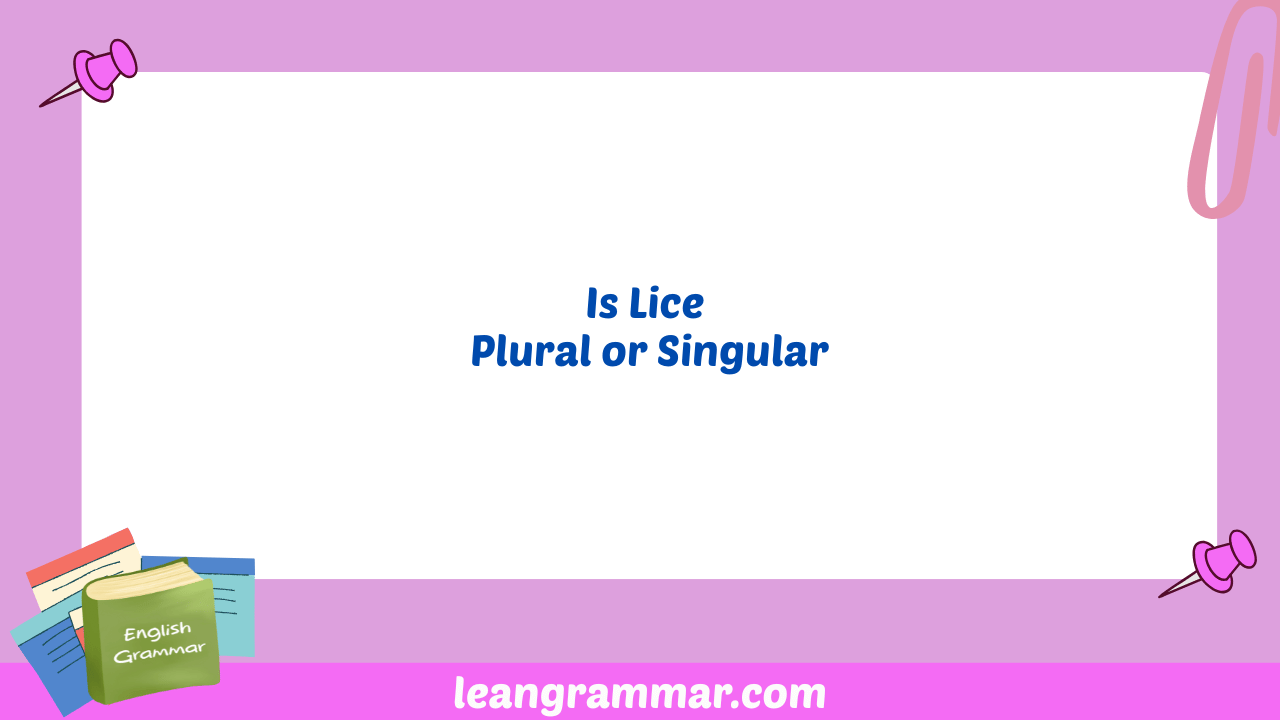 Is Lice Plural or Singular
