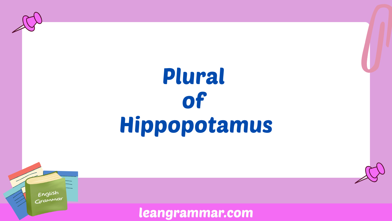Plural of Hippopotamus