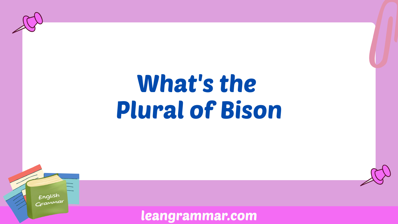 What's the Plural of Bison