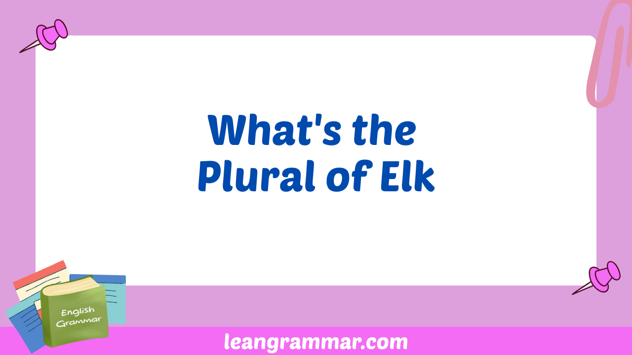 What's the Plural of Elk