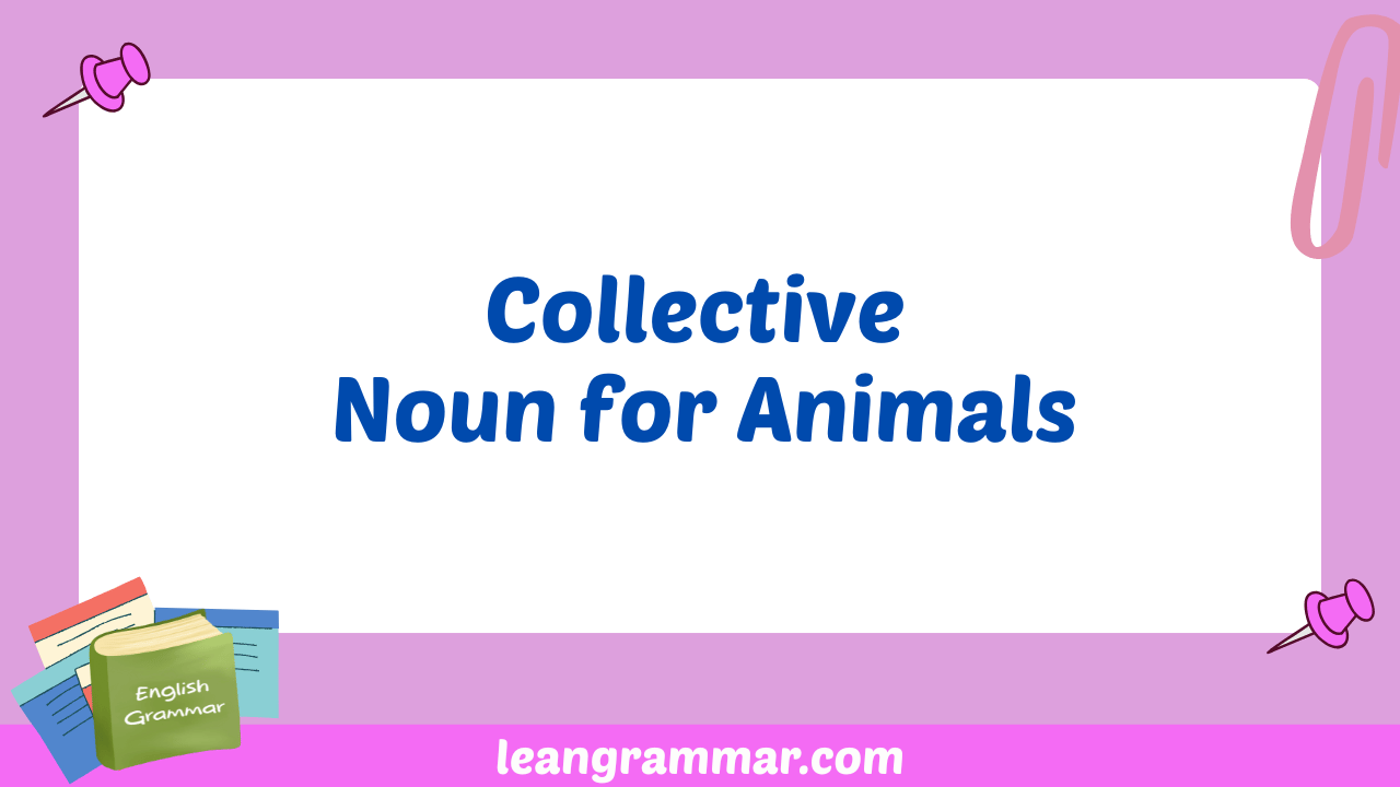 Collective Noun for Animals
