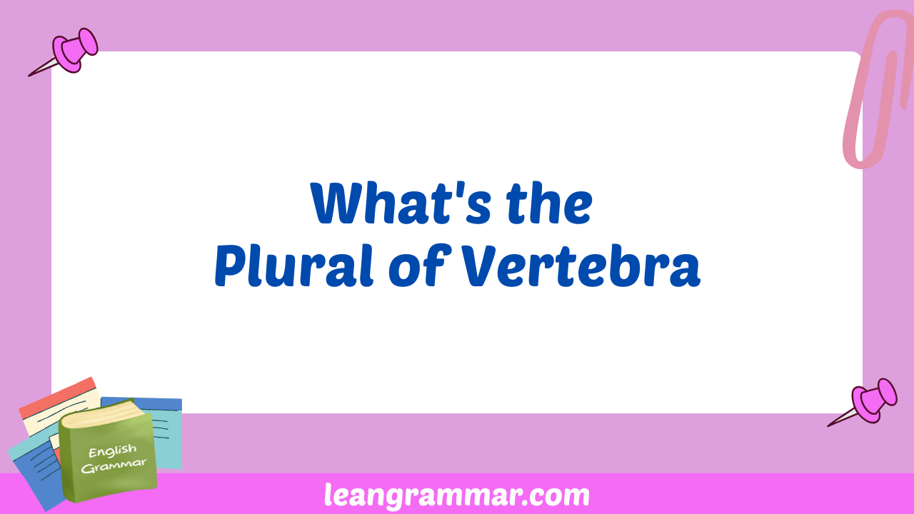 What's the Plural of Vertebra