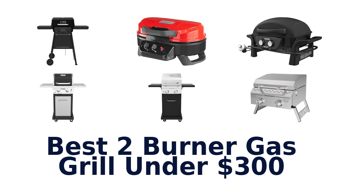 best 2 burner gas grill under $300