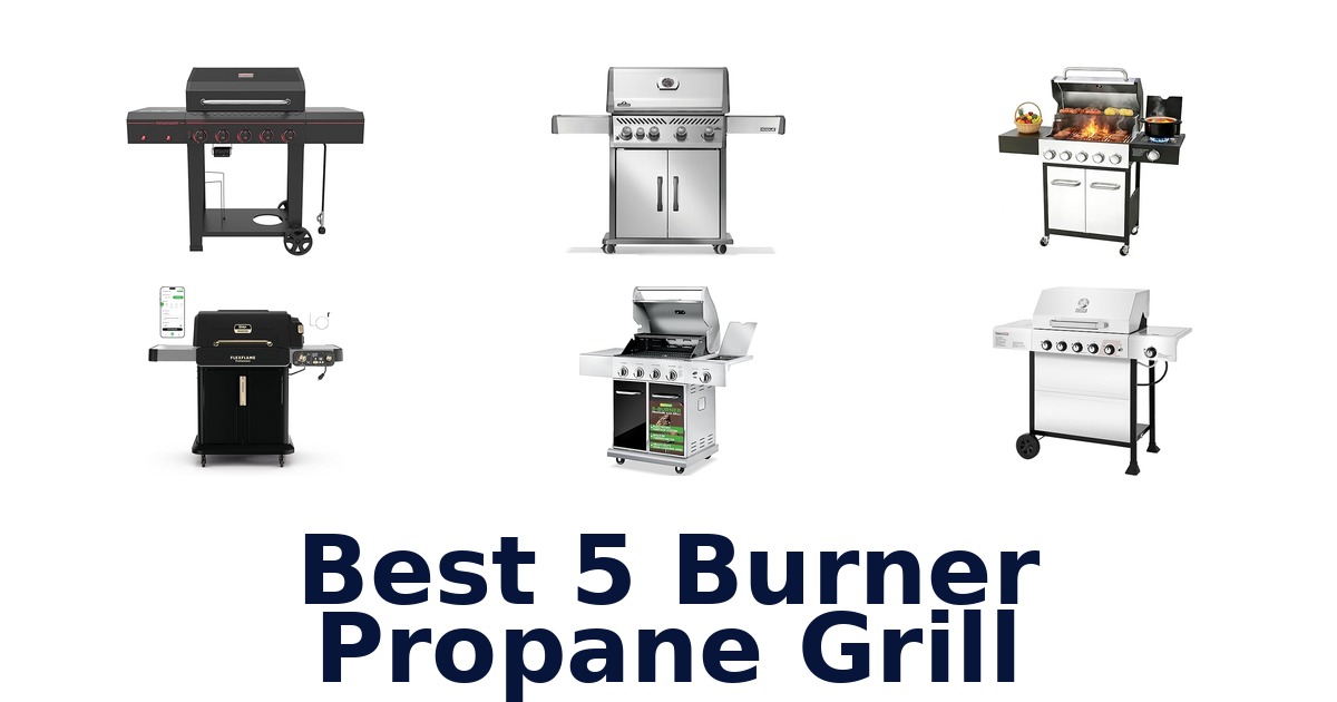 best 5 burner propane grill