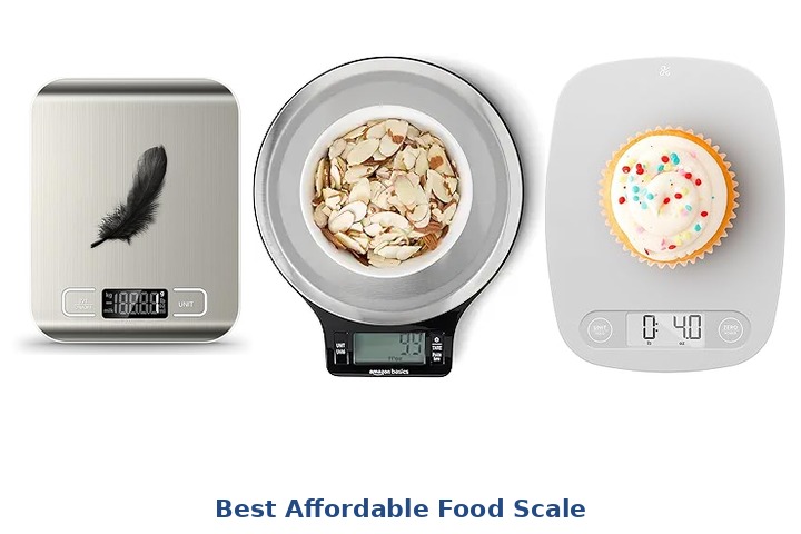 best affordable food scale