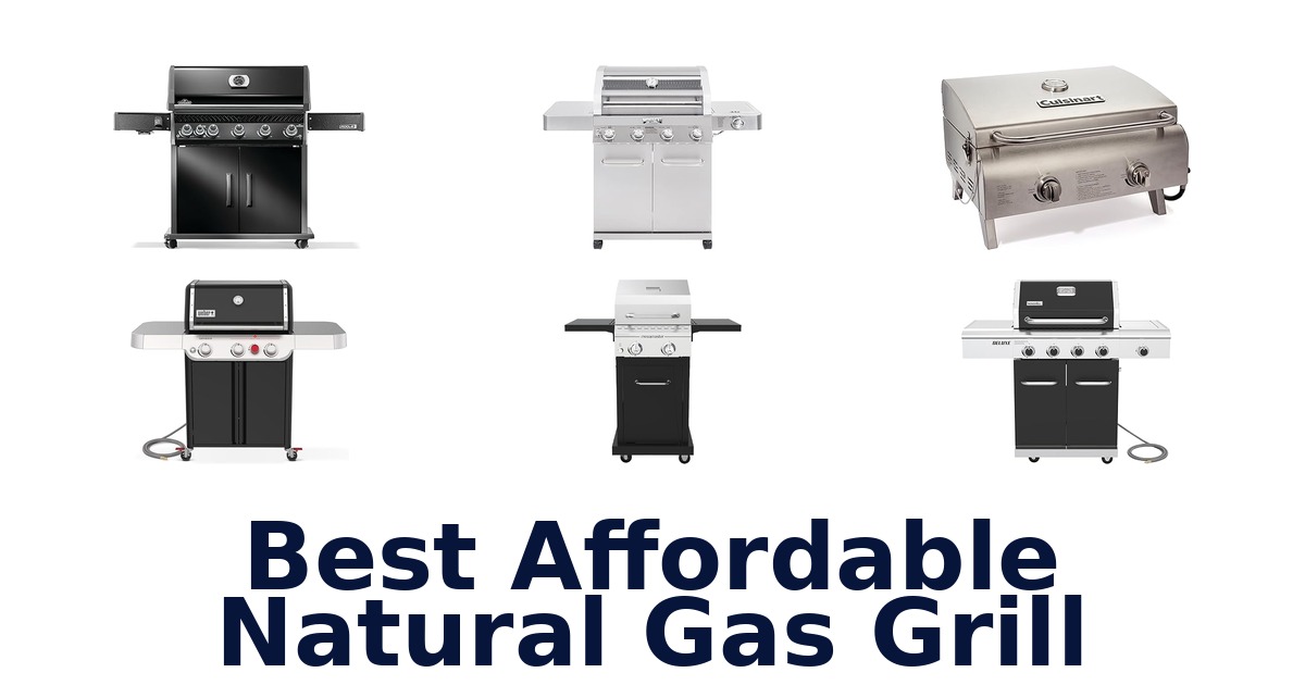 best affordable natural gas grill