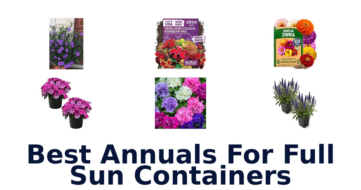 best annuals for full sun containers