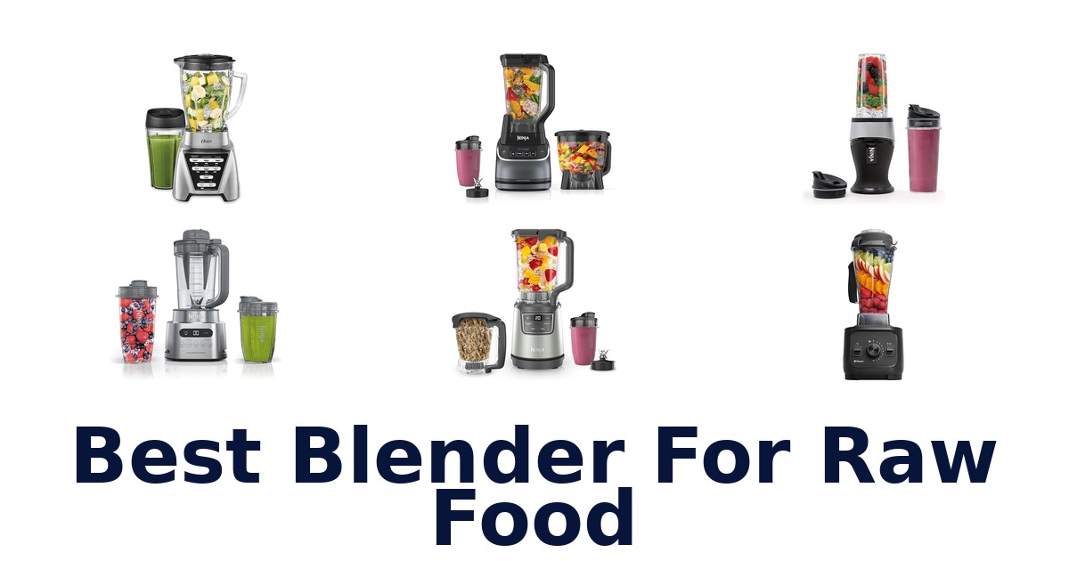 best blender for raw food