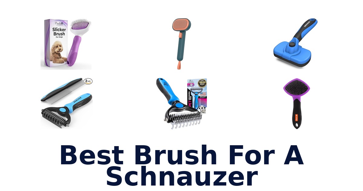 best brush for a schnauzer