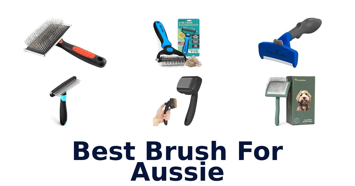 best brush for aussie