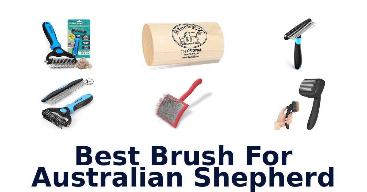 best brush for australian shepherd