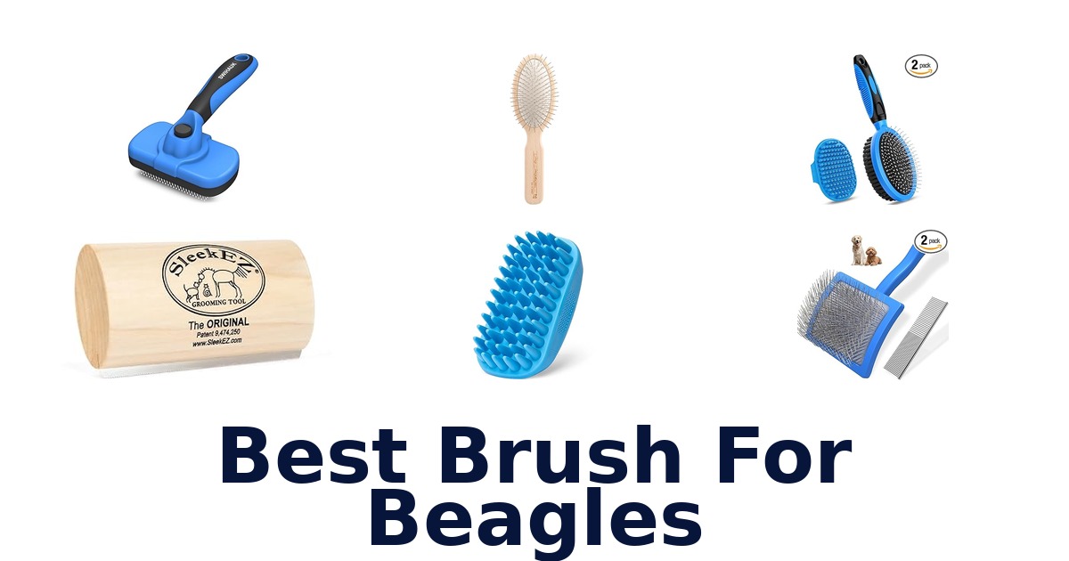 best brush for beagles
