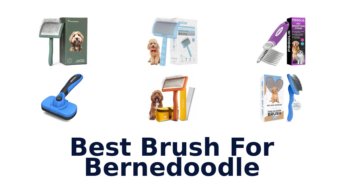 best brush for bernedoodle