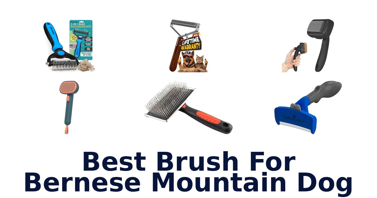 best brush for bernese mountain dog