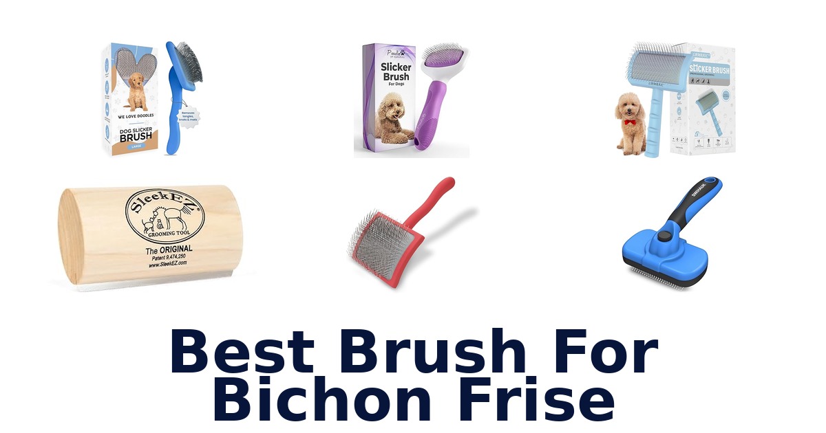 best brush for bichon frise