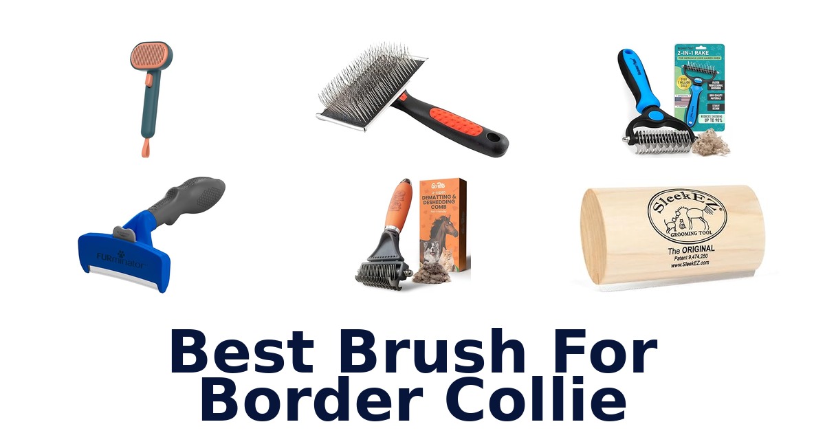 best brush for border collie