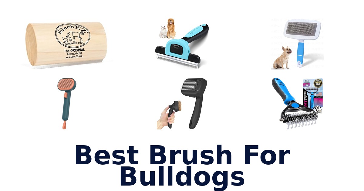 best brush for bulldogs