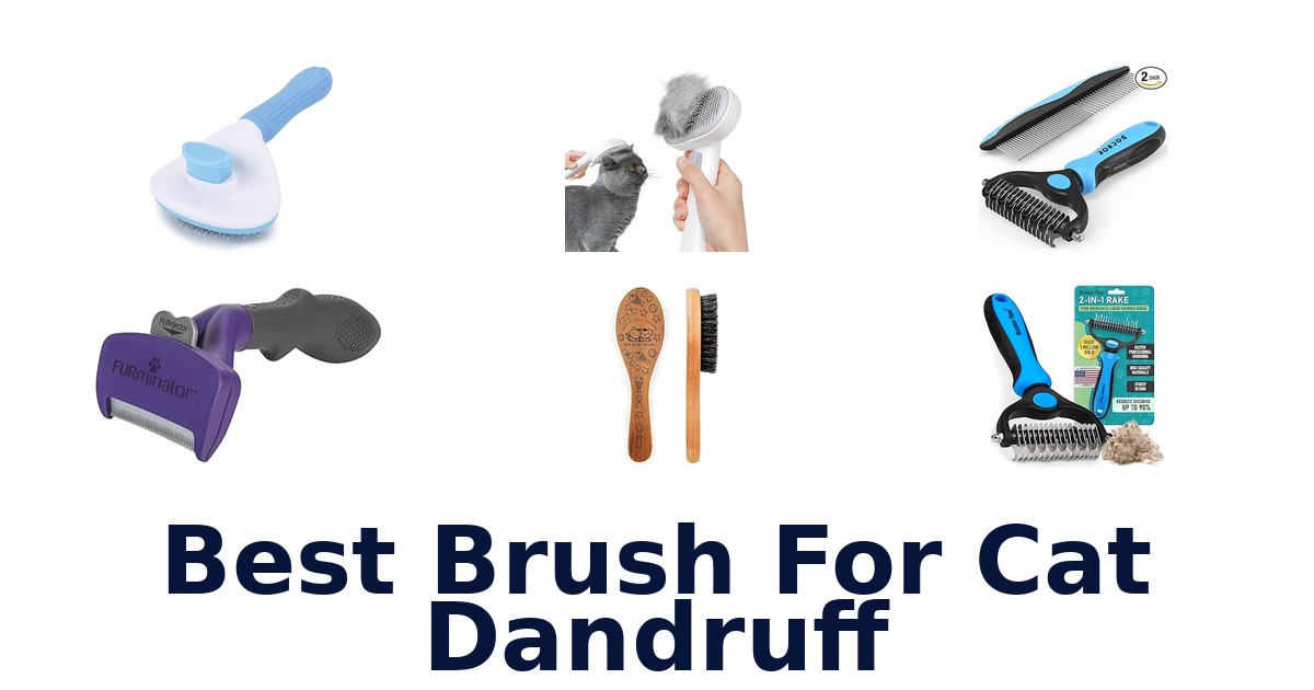 best brush for cat dandruff
