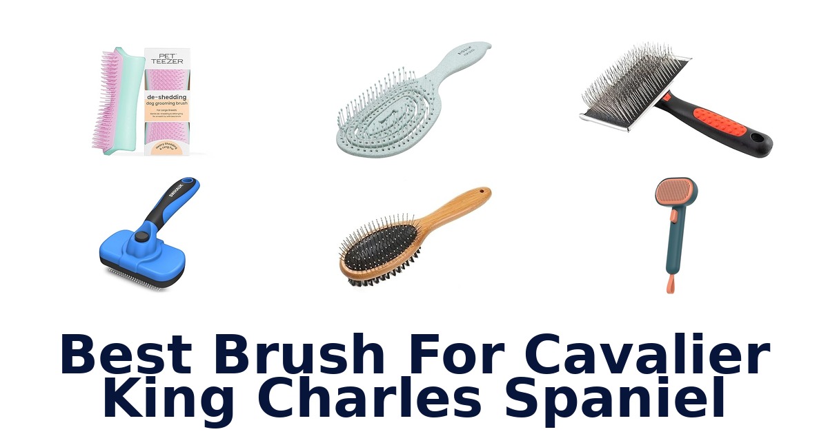 best brush for cavalier king charles spaniel