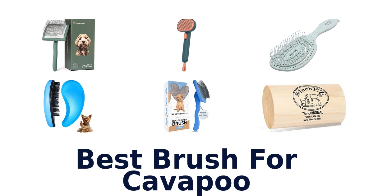 best brush for cavapoo