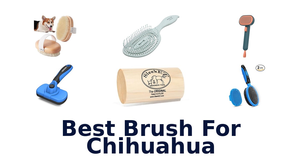 best brush for chihuahua