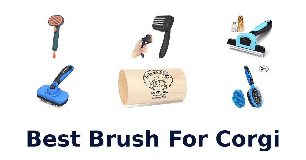 best brush for corgi