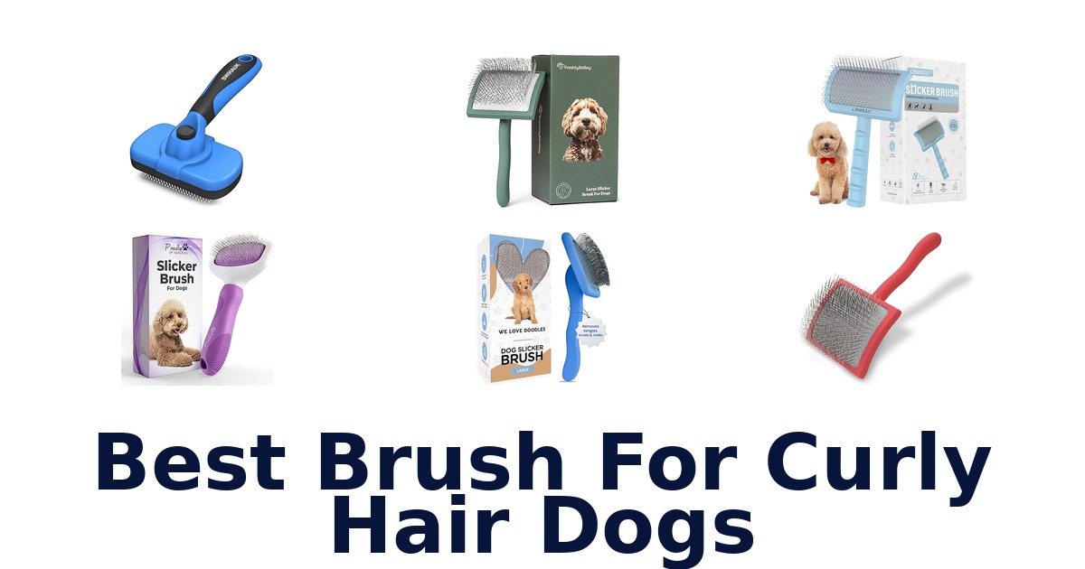 best brush for curly hair dogs