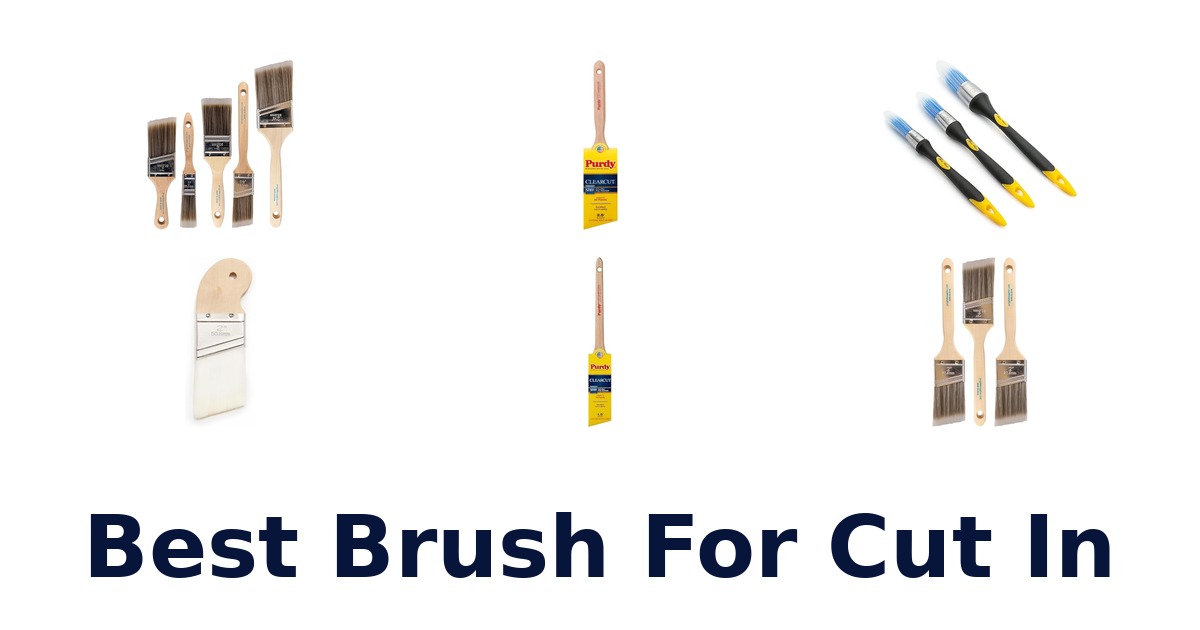best brush for cut in