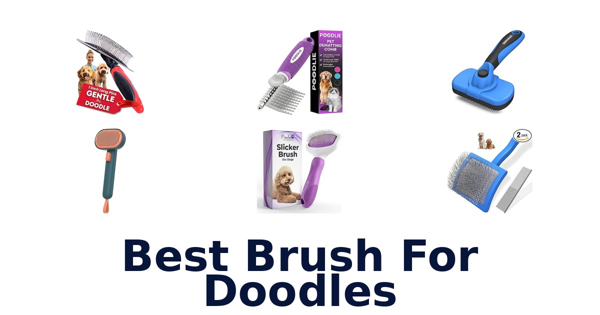 best brush for doodles