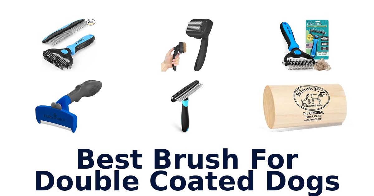 best brush for double coated dogs