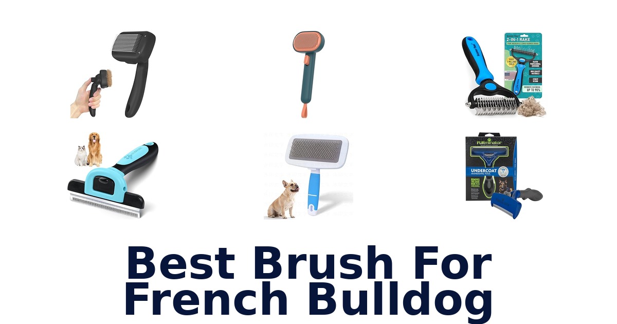 best brush for french bulldog