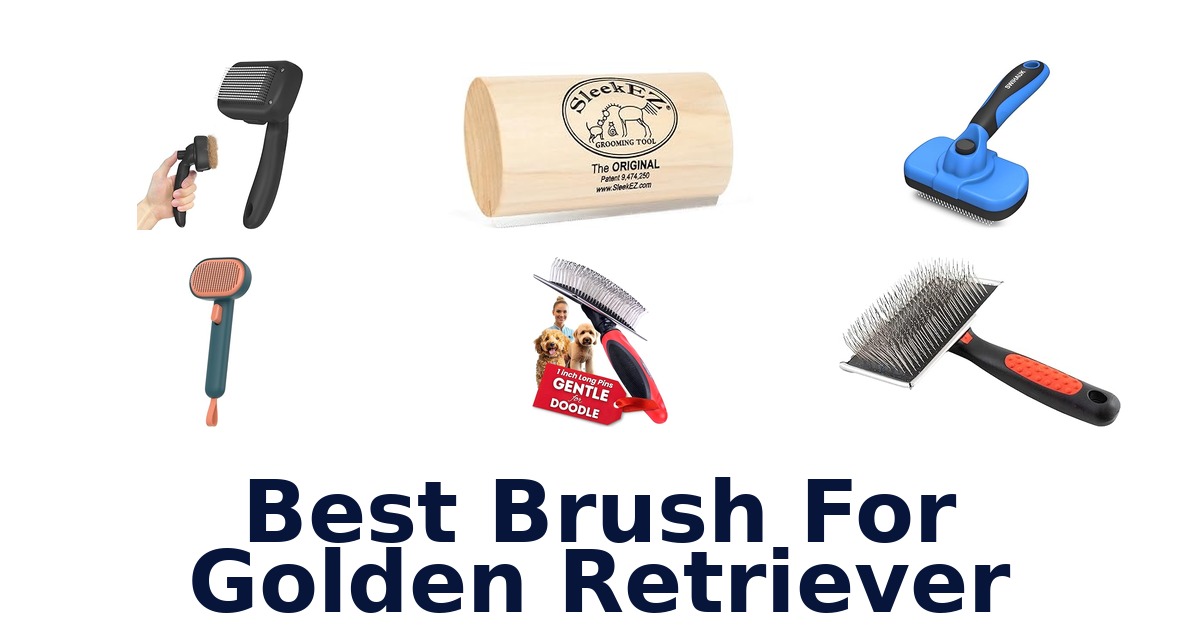 best brush for golden retriever