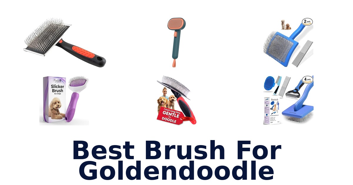 best brush for goldendoodle