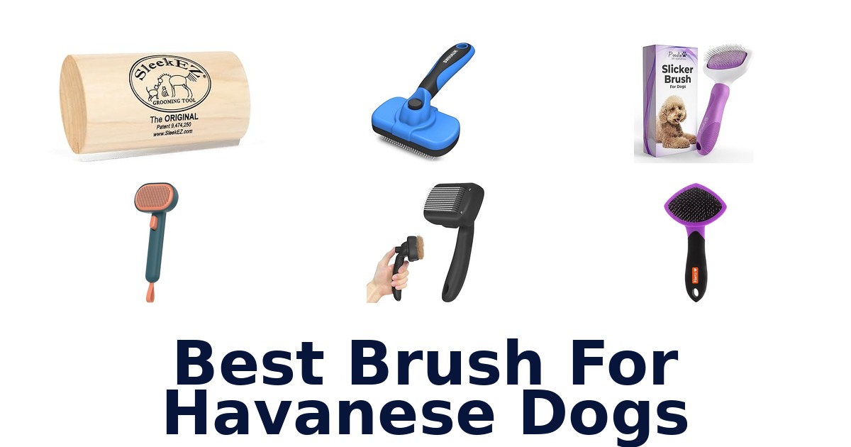 best brush for havanese dogs