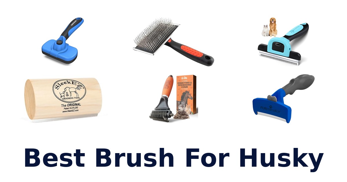 best brush for husky