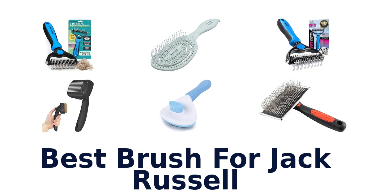 best brush for jack russell