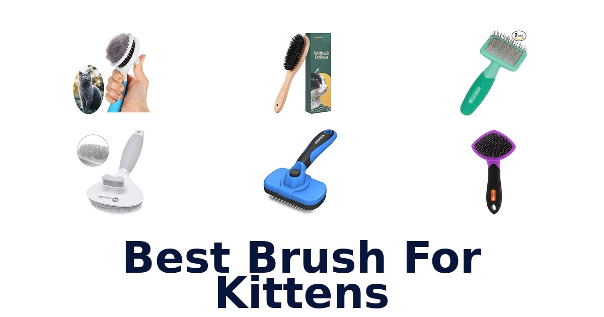 best brush for kittens