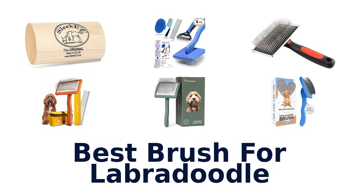 best brush for labradoodle