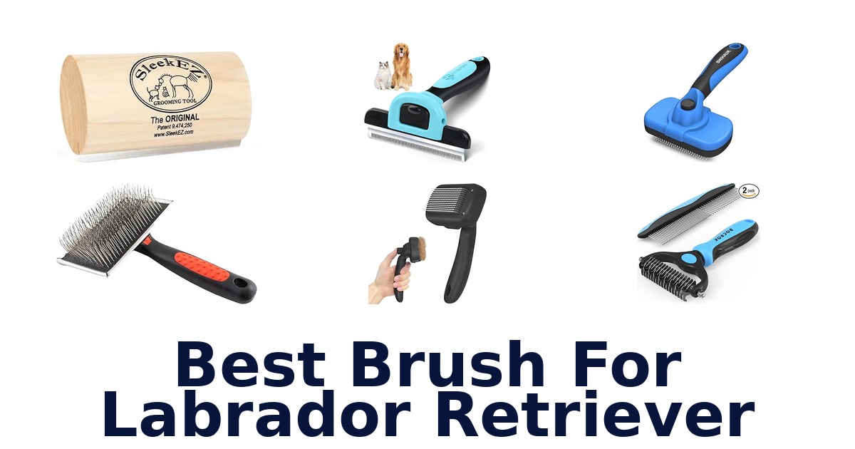 best brush for labrador retriever