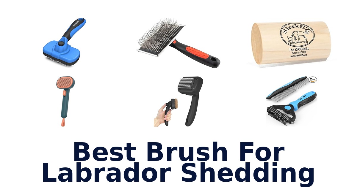 best brush for labrador shedding