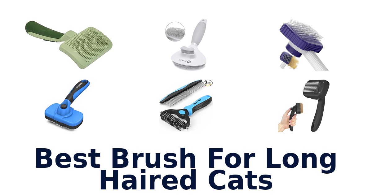 best brush for long haired cats