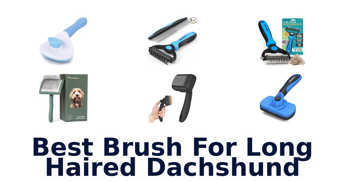 best brush for long haired dachshund