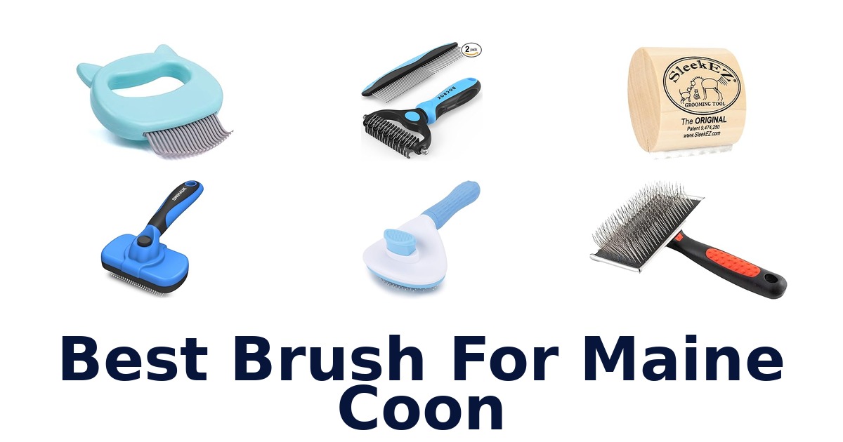 best brush for maine coon