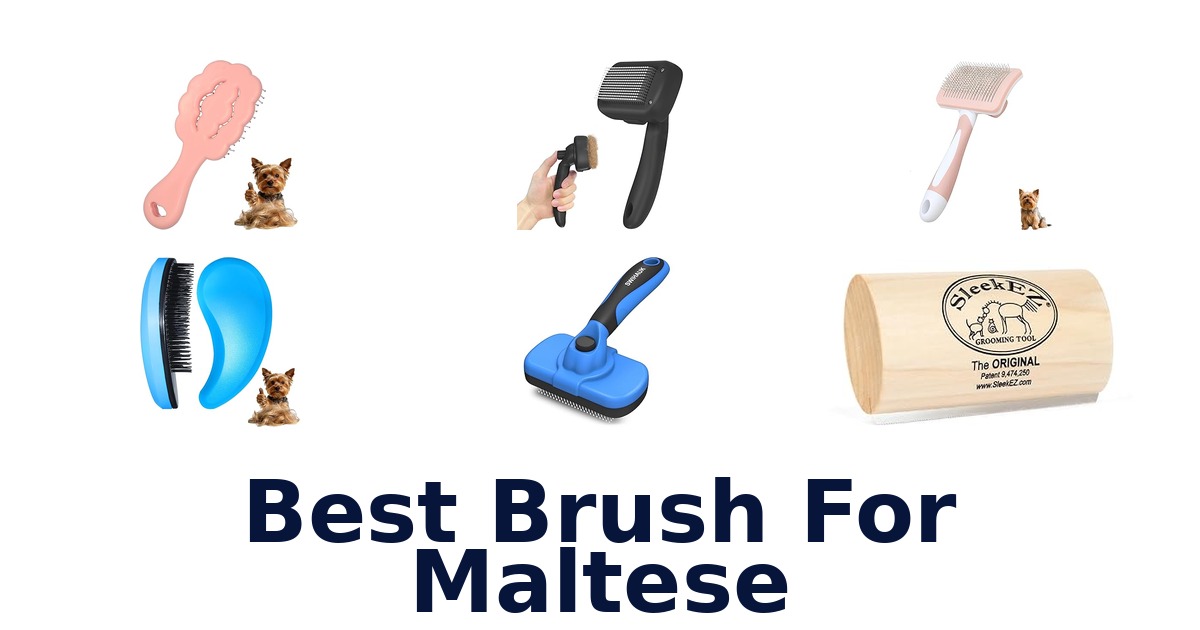 best brush for maltese