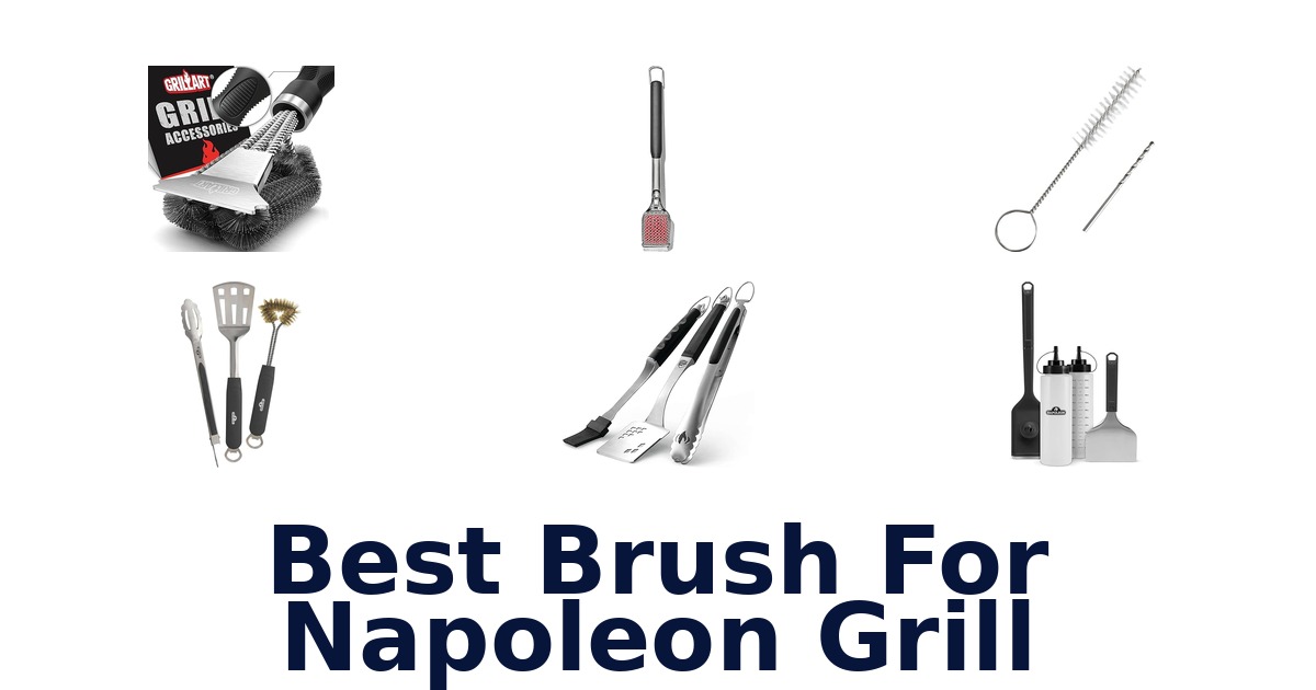 best brush for napoleon grill