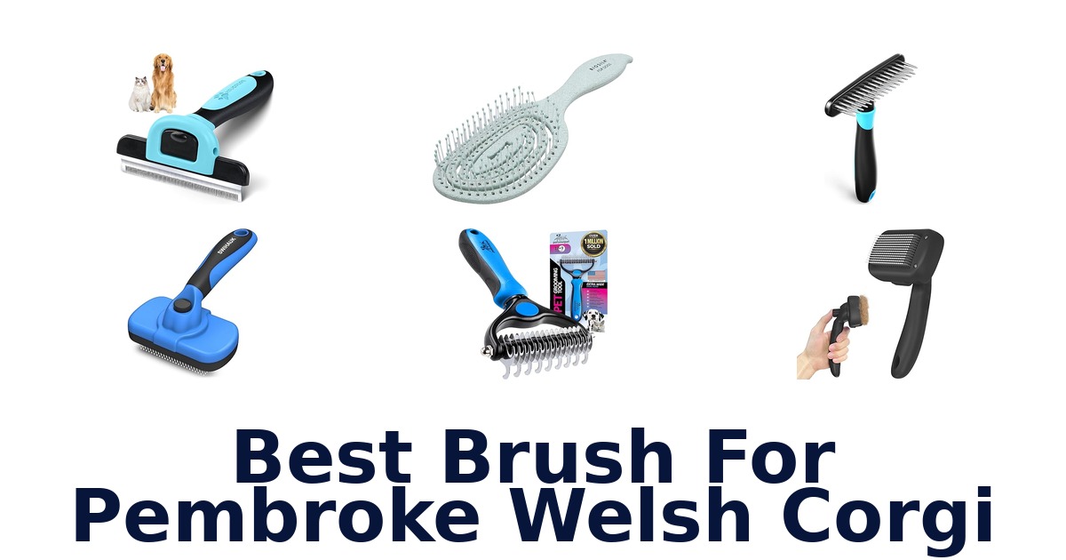 best brush for pembroke welsh corgi