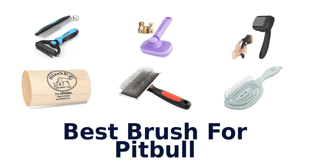 best brush for pitbull