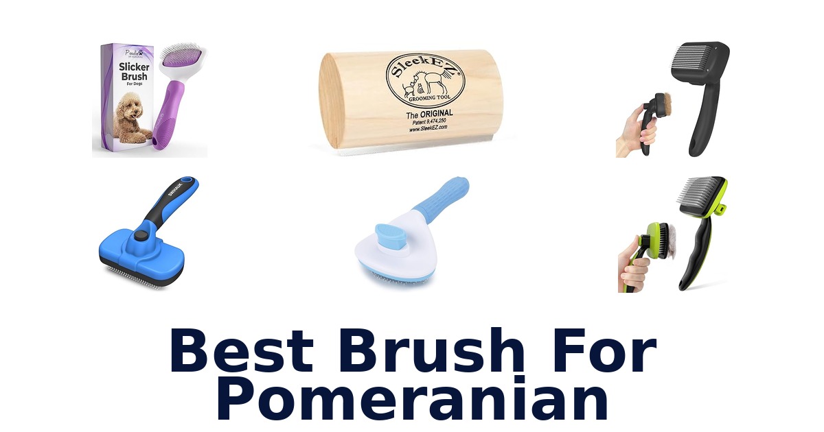 best brush for pomeranian