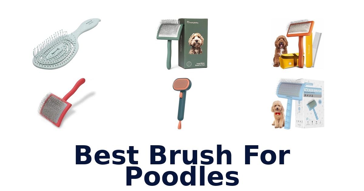 best brush for poodles