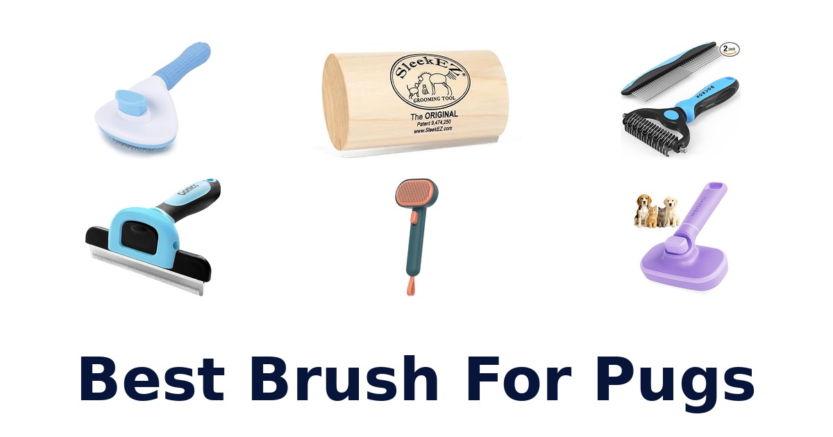 best brush for pugs